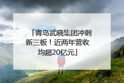 青岛武晓集团冲刺新三板！近两年营收均超20亿元
