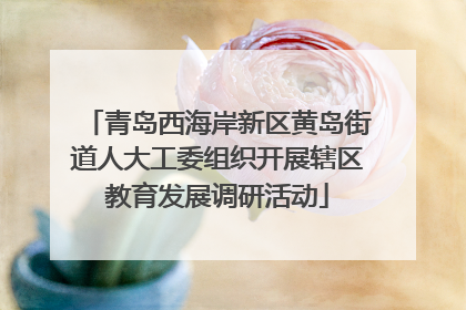 青岛西海岸新区黄岛街道人大工委组织开展辖区教育发展调研活动