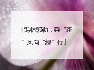 锡林郭勒：乘“新”风向“绿”行