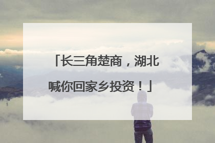 长三角楚商，湖北喊你回家乡投资！