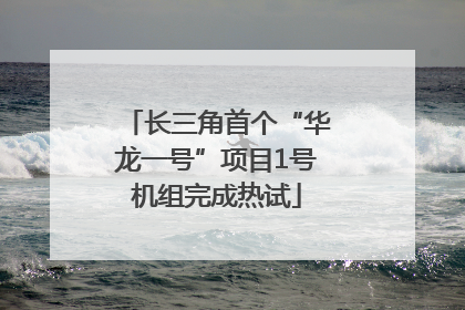 长三角首个“华龙一号”项目1号机组完成热试