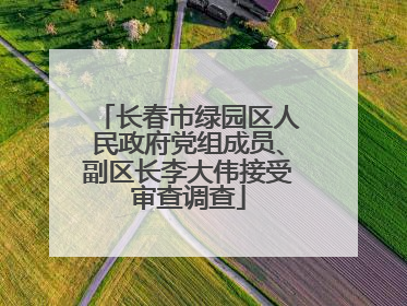 长春市绿园区人民政府党组成员、副区长李大伟接受审查调查