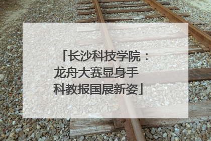 长沙科技学院：龙舟大赛显身手 科教报国展新姿