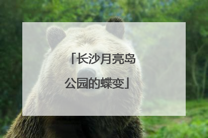 长沙月亮岛公园的蝶变