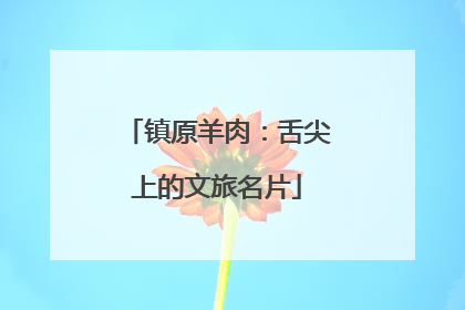 镇原羊肉：舌尖上的文旅名片