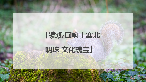 镜观·回响丨塞北明珠 文化瑰宝
