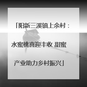 阳新三溪镇上余村：水蜜桃喜迎丰收 甜蜜产业助力乡村振兴