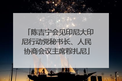 陈吉宁会见印尼大印尼行动党秘书长、人民协商会议主席穆扎尼
