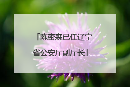 陈密森已任辽宁省公安厅副厅长
