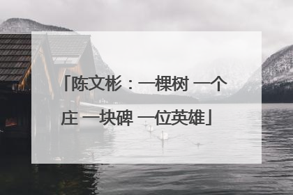 陈文彬：一棵树 一个庄 一块碑 一位英雄