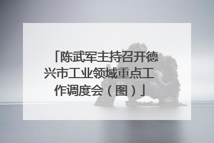 陈武军主持召开德兴市工业领域重点工作调度会（图）