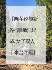 陈芋汐与新搭档掌敏洁出战 女子双人十米台夺冠