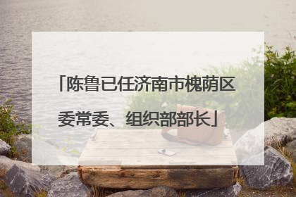 陈鲁已任济南市槐荫区委常委、组织部部长