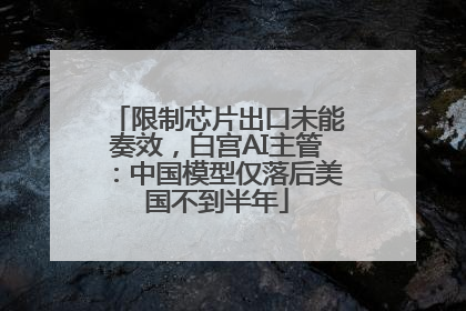 限制芯片出口未能奏效，白宫AI主管：中国模型仅落后美国不到半年