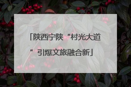 陕西宁陕“村光大道”引爆文旅融合新