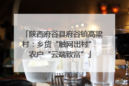 陕西府谷县府谷镇高梁村：乡货“触网出村” 农户“云端致富”