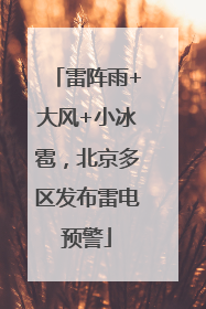 雷阵雨+大风+小冰雹，北京多区发布雷电预警