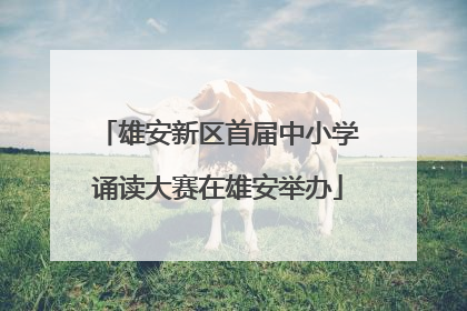 雄安新区首届中小学诵读大赛在雄安举办