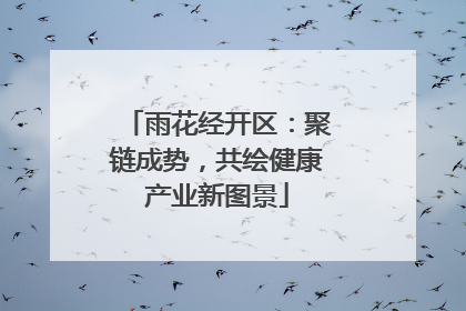 雨花经开区：聚链成势，共绘健康产业新图景