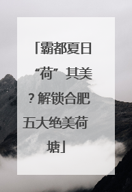 霸都夏日“荷”其美？解锁合肥五大绝美荷塘