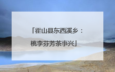 霍山县东西溪乡：桃李芬芳茶事兴