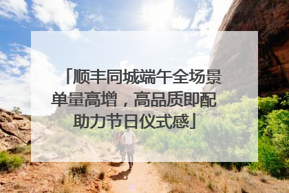 顺丰同城端午全场景单量高增，高品质即配助力节日仪式感
