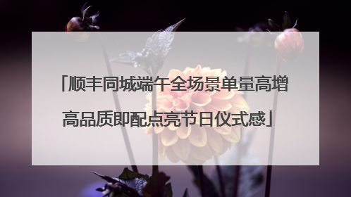 顺丰同城端午全场景单量高增 高品质即配点亮节日仪式感
