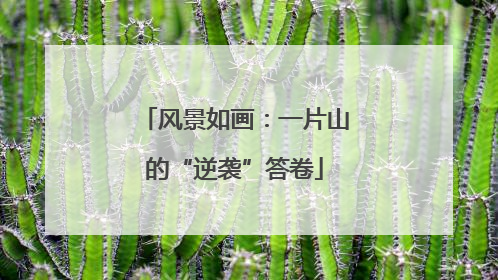 风景如画：一片山的“逆袭”答卷