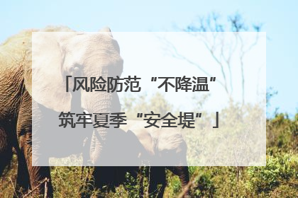 风险防范“不降温” 筑牢夏季“安全堤”