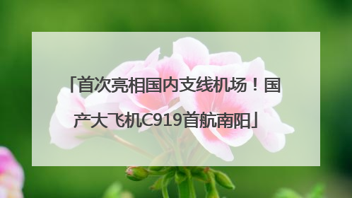 首次亮相国内支线机场！国产大飞机C919首航南阳