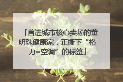 首进城市核心卖场的董明珠健康家，正撕下“格力=空调”的标签