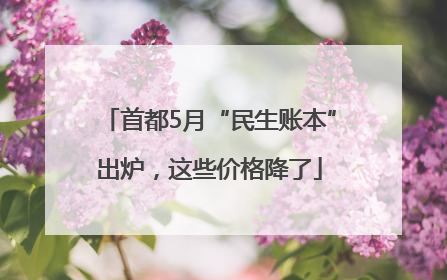 首都5月“民生账本”出炉，这些价格降了