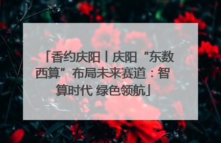 香约庆阳丨庆阳“东数西算”布局未来赛道：智算时代 绿色领航