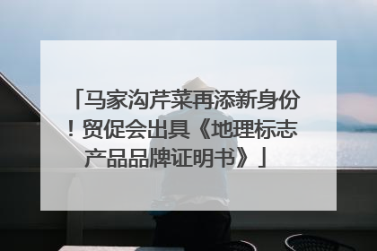 马家沟芹菜再添新身份！贸促会出具《地理标志产品品牌证明书》