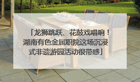 龙狮跳跃、花鼓戏唱响！湖南有色金属职院这场沉浸式非遗游园活动很带感