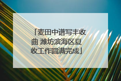 麦田中谱写丰收曲 潍坊滨海区夏收工作圆满完成