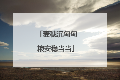 麦穗沉甸甸 粮安稳当当