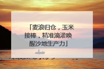 麦浪归仓，玉米接棒，精准滴灌唤醒沙地生产力