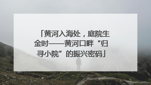 黄河入海处，庭院生金时——黄河口畔“归寻小院”的振兴密码