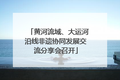 黄河流域、大运河沿线非遗协同发展交流分享会召开
