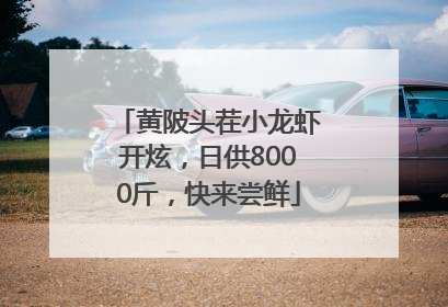 黄陂头茬小龙虾开炫，日供8000斤，快来尝鲜