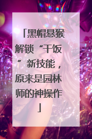 黑帽悬猴解锁“干饭”新技能，原来是园林师的神操作