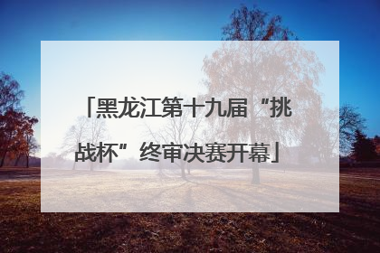 黑龙江第十九届“挑战杯”终审决赛开幕