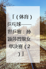 （体育）乒乓球——世乒赛：孙颖莎晋级女单决赛（2）