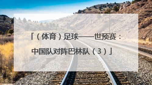 （体育）足球——世预赛：中国队对阵巴林队（3）