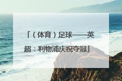 （体育）足球——英超：利物浦庆祝夺冠