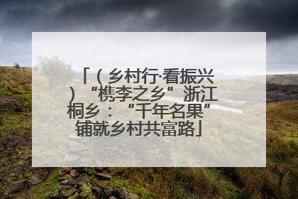（乡村行·看振兴）“槜李之乡”浙江桐乡：“千年名果”铺就乡村共富路