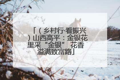 （乡村行·看振兴）山西高平：金银花里采“金银” 花香溢满致富路
