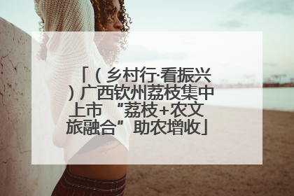 （乡村行·看振兴）广西钦州荔枝集中上市 “荔枝+农文旅融合”助农增收