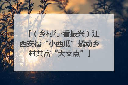 （乡村行·看振兴）江西安福“小西瓜”撬动乡村共富“大支点”